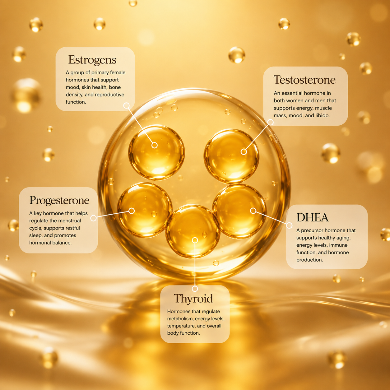 Illustration representing an individualized hormone care profile